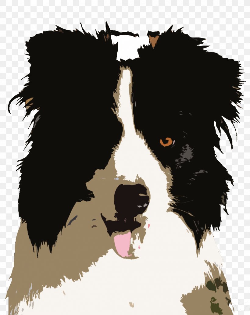 Border Collie Dog Breed Puppy Rough Collie Collie's Sports Bar & Grill, PNG, 1063x1340px, Border Collie, Bar, Breed, Carnivoran, Collie Download Free