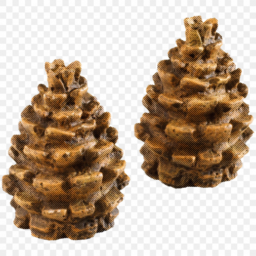 Christmas Tree, PNG, 1000x1000px, Sugar Pine, American Larch, Christmas Tree, Colorado Spruce, Cone Download Free