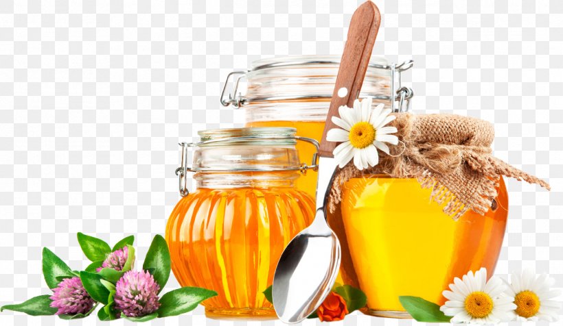 Honeycomb Organic Food Bee Buckwheat, PNG, 1293x751px, Honey, Apiary, Bee, Buckwheat, Flavor Download Free