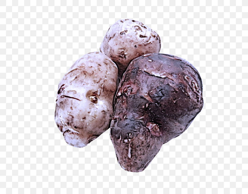 Tuber, PNG, 640x640px, Tuber Download Free