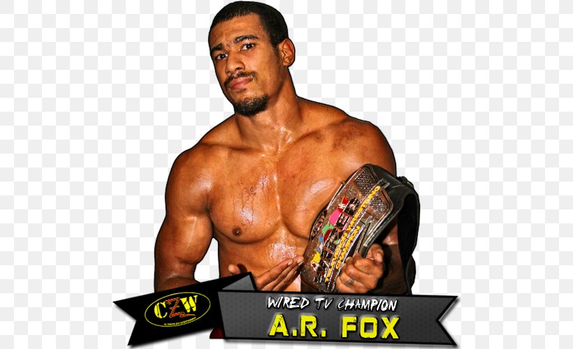AR Fox Professional Wrestler Combat Zone Wrestling Professional Wrestling Evolve, PNG, 500x500px, Watercolor, Cartoon, Flower, Frame, Heart Download Free