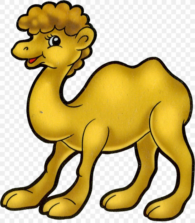 Drawing Cartoon Idea Clip Art, PNG, 855x980px, Camel, Animal, Animal Figure, Arabian Camel, Camel Like Mammal Download Free