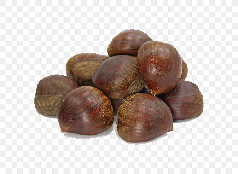 Dried Fruit Hazelnut Nuts, PNG, 600x600px, Dried Fruit, Almond, Apricot, Asian Hazel, Chestnut Download Free