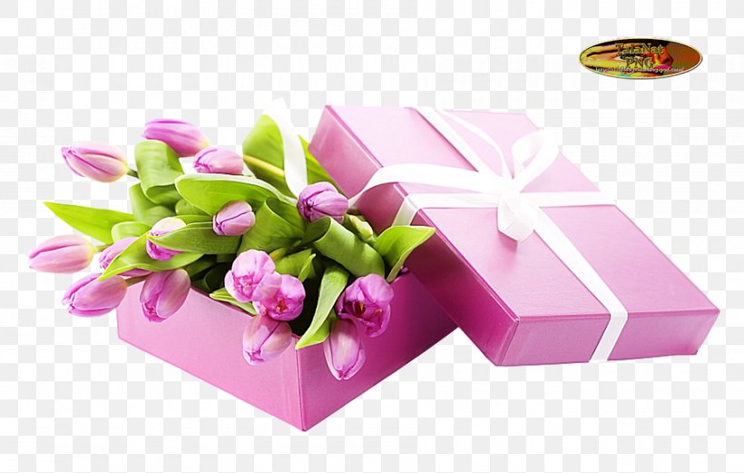 Gift Tulip Birthday Cut Flowers, PNG, 900x572px, Gift, Birthday, Box, Cut Flowers, Floral Design Download Free