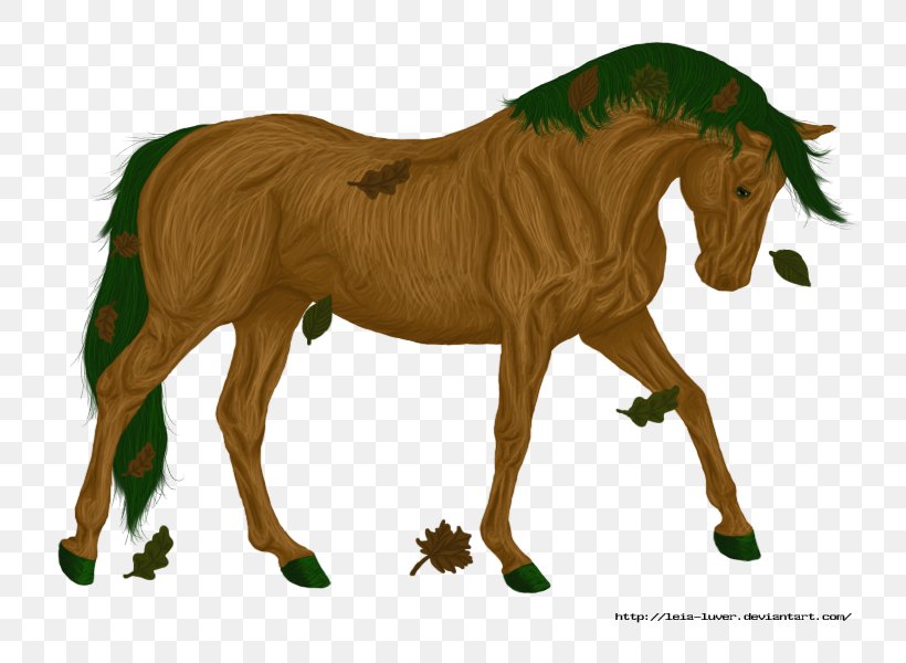 Mane Mustang Foal Stallion Mare, PNG, 800x600px, Mane, Animal Figure, Bridle, Colt, Foal Download Free