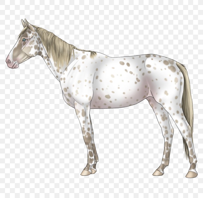 Mane Mustang Stallion Pony Mare, PNG, 800x800px, Mane, Animal Figure, Bridle, Halter, Horse Download Free