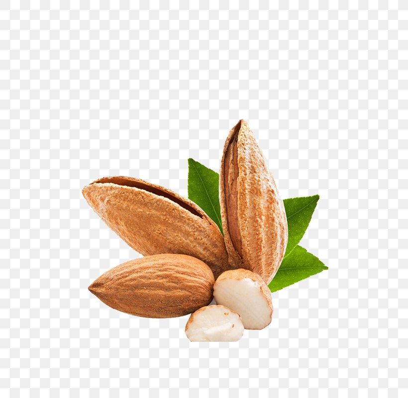 Nut Almond, PNG, 800x800px, Nut, Almond, Commodity, Flavor, Food Download Free
