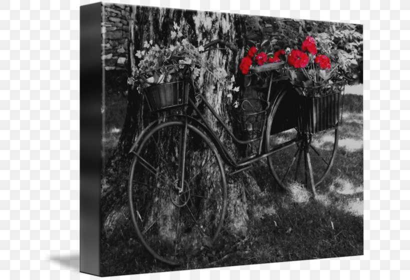 Black And White Monochrome Photography Gallery Wrap Motor Vehicle, PNG, 650x560px, Black And White, Art, Bicycle, Canvas, Car Download Free