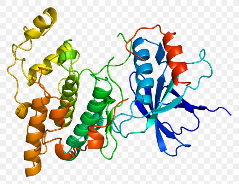 C-Jun N-terminal Kinases Mitogen-activated Protein Kinase MAPK10, PNG, 845x650px, Cjun Nterminal Kinases, Area, Art, Artwork, Biochemistry Download Free