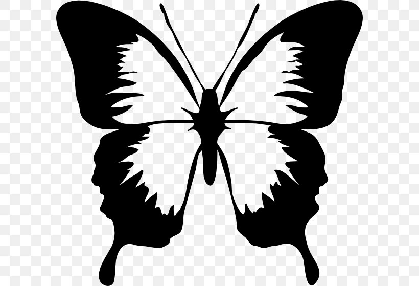Clip Art Openclipart Butterfly Vector Graphics Free Content, PNG, 600x559px, Butterfly, Art, Blackandwhite, Cartoon, Drawing Download Free