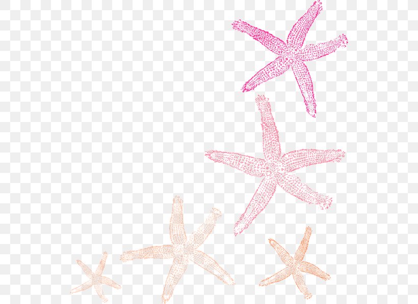 Clip Art Openclipart Vector Graphics Starfish Illustration, PNG, 546x598px, Starfish, Art, Coral, Drawing, Echinoderm Download Free