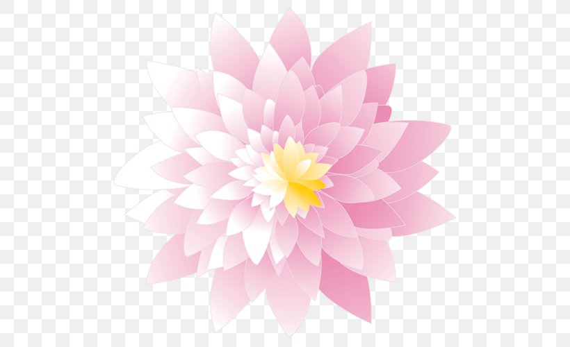 Dahlia Floral Design Chrysanthemum Petal, PNG, 500x500px, Dahlia, Chrysanthemum, Chrysanths, Daisy Family, Floral Design Download Free
