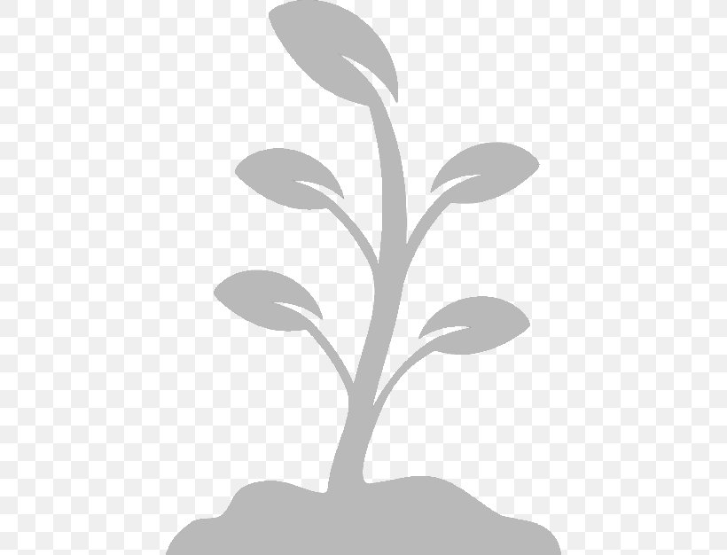 Nature Plants Clip Art Seed Leaf, PNG, 626x626px, Plants, Aquatic Plants, Blackandwhite, Botany, Branch Download Free