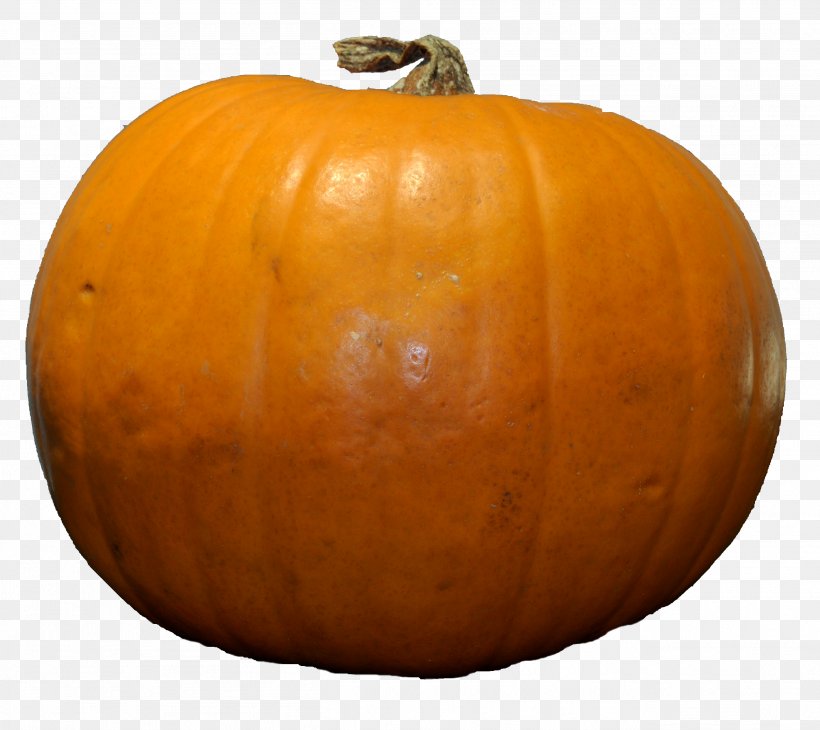 Pumpkin Pie Jack-o'-lantern Zucchini, PNG, 2612x2327px, Pumpkin Pie, Calabaza, Carving, Cucumber Gourd And Melon Family, Cucurbita Download Free