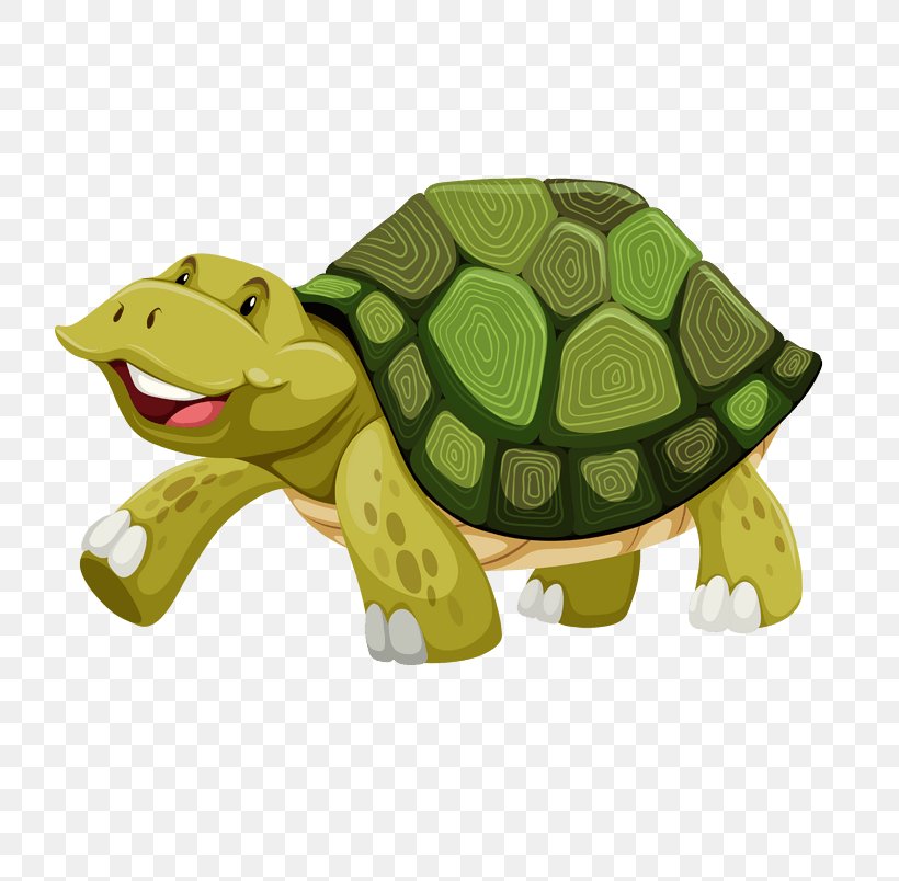 Turtle Vector Graphics Royalty-free Stock Photography Illustration, PNG, 804x804px, Turtle, Animal Figure, Fauna, Green Sea Turtle, Istock Download Free