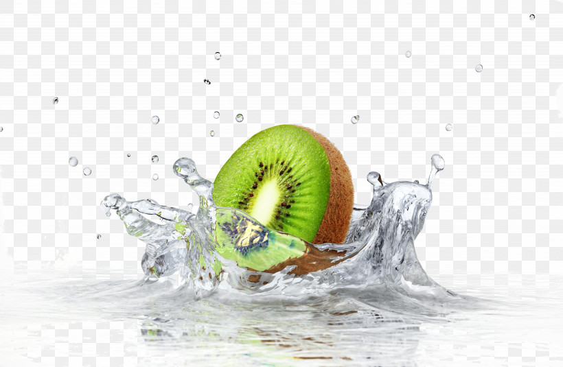 Water Kiwifruit Fruit Plant Liquid, PNG, 6363x4159px, Water, Fruit, Kiwifruit, Liquid, Plant Download Free