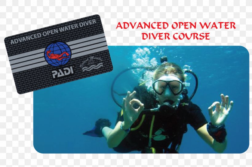 Divemaster Scuba Diving Professional Association Of Diving Instructors ...