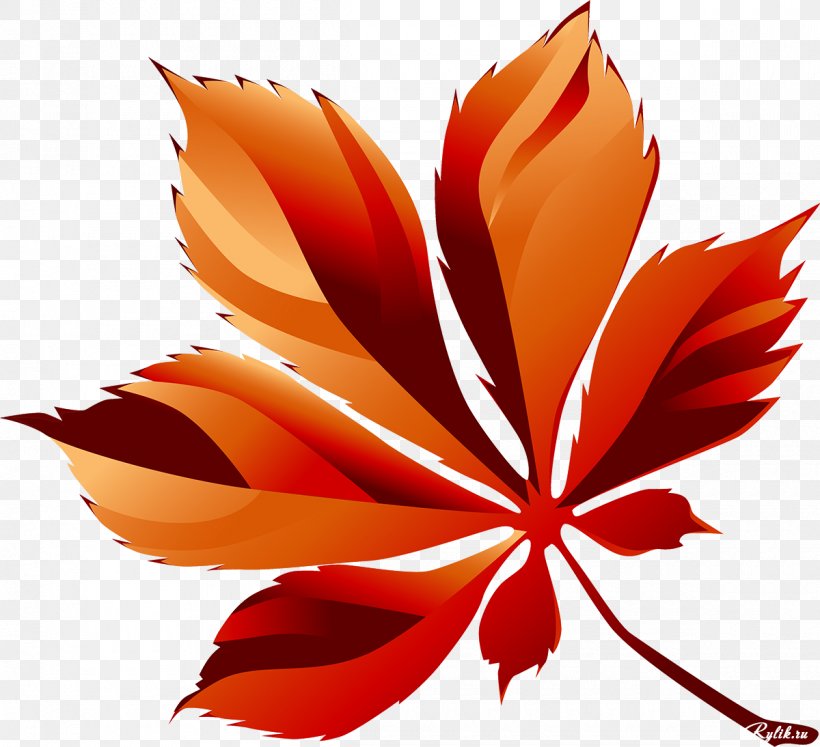 Leaf Petal Raster Graphics Clip Art, PNG, 1200x1094px, Leaf, Flower, Flowering Plant, Green, Orange Download Free