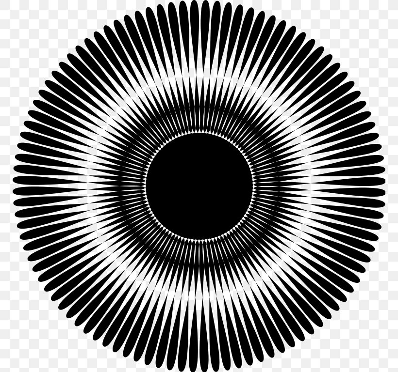 Moiré Pattern Mirror Light Giphy, PNG, 768x768px, Mirror, Animated Film, Black And White, Business, Camera Lens Download Free