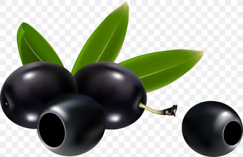 Olive Branch Clip Art, PNG, 1068x692px, Olive, Food, Fruit, Olive Branch, Plant Download Free