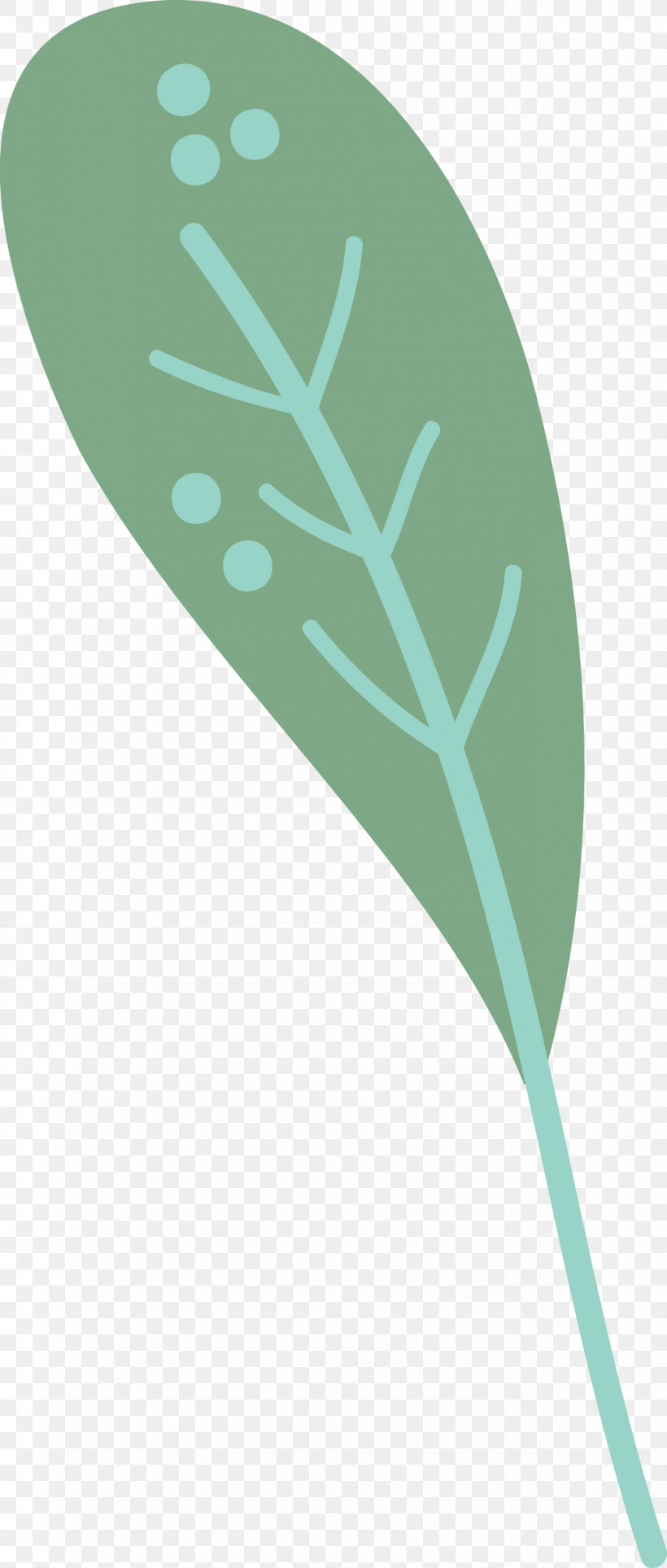 Leaf Font Teal Line Meter, PNG, 1276x3000px, Leaf Cartoon, Biology, Leaf, Leaf Abstract, Leaf Clipart Download Free