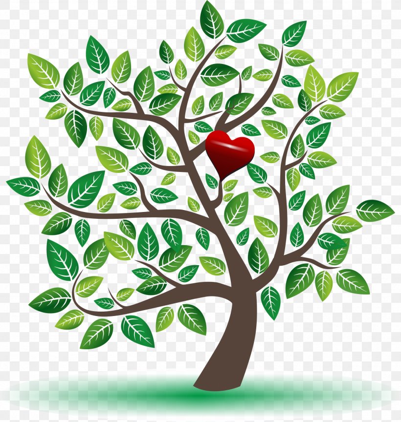Tree Branch Leaf, PNG, 1820x1919px, Tree, Artwork, Branch, Color, Family Tree Download Free