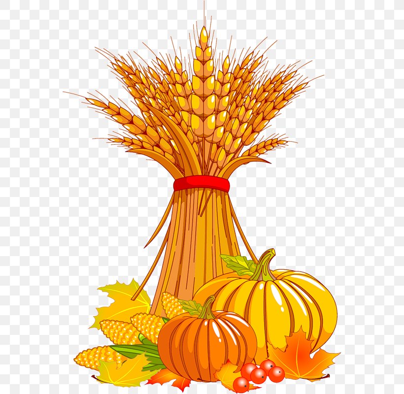 Autumn Clip Art, PNG, 566x800px, Autumn, Art, Can Stock Photo, Commodity, Flower Download Free