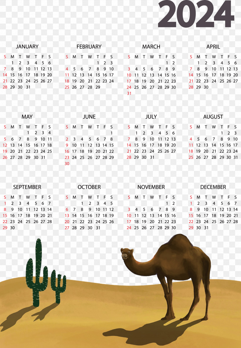 Calendar Font, PNG, 3325x4789px, Calendar Download Free