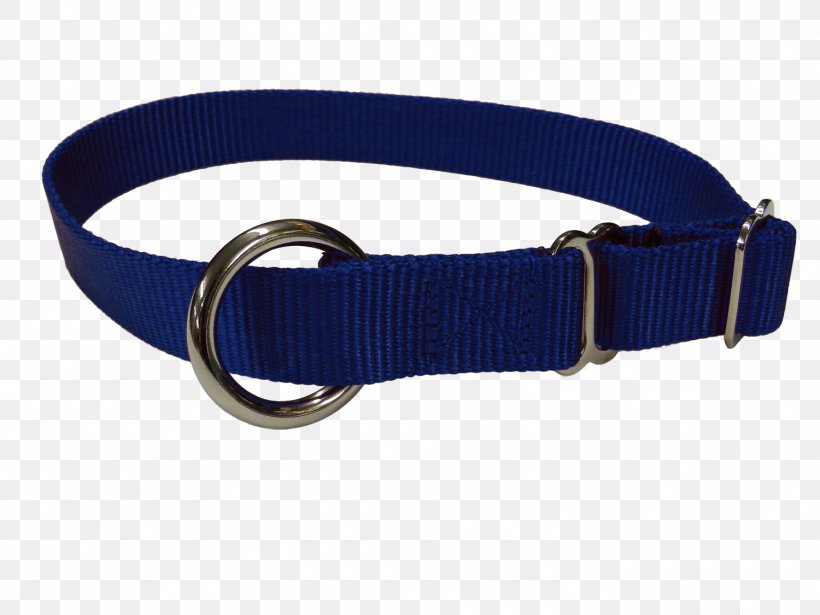 Dog Collar Leash Halter, PNG, 1500x1125px, Dog, Belt, Belt Buckle, Belt Buckles, Buckle Download Free