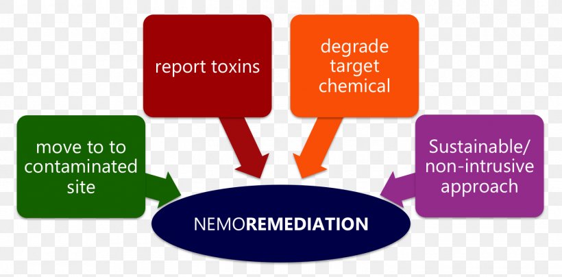 Flowchart Pollution Bioremediation Diagram, PNG, 1500x740px, Flowchart, Bioremediation, Brand, Business Process, Chart Download Free