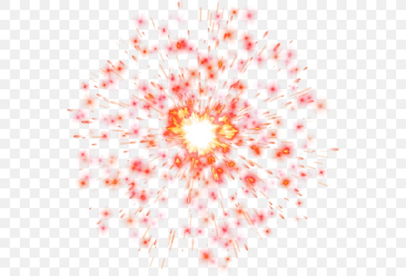 Light 2016 San Pablito Market Fireworks Explosion, PNG, 550x557px, Light, Explosion, Image File Formats, Orange, Peach Download Free