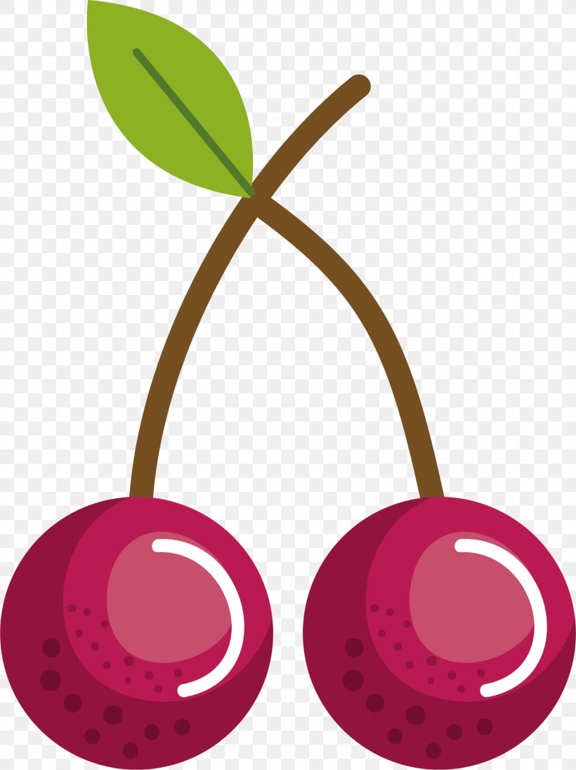 Cherry Fruit Clip Art, PNG, 1501x2007px, Cherry, Alamy, Food, Fruit, Magenta Download Free