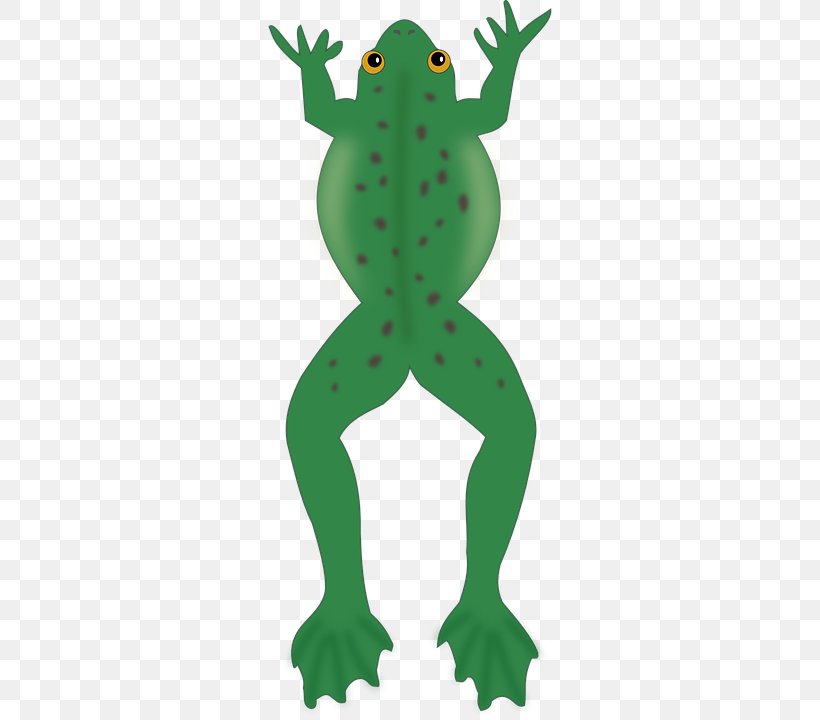 Frog Jumping Contest Amphibian Lithobates Clamitans Clip Art, PNG, 360x720px, Frog, Amphibian, Fictional Character, Frog Jumping Contest, Grass Download Free