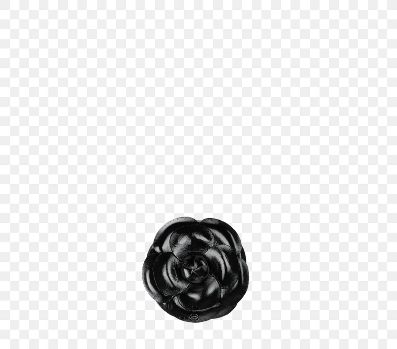 Silver Body Jewellery White Black M, PNG, 564x720px, Silver, Black, Black And White, Black M, Body Jewellery Download Free
