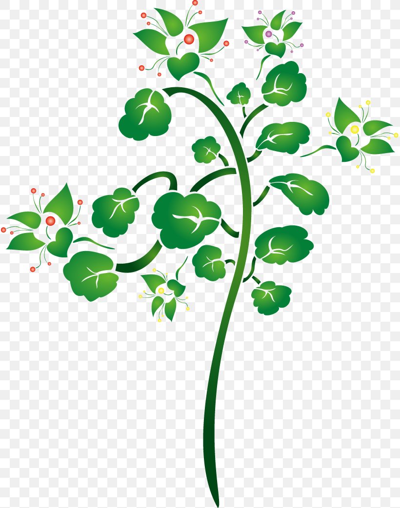 Vector Graphics Clip Art Image Leaf, PNG, 815x1042px, Leaf, Botany, Designer, Flower, Flowering Plant Download Free