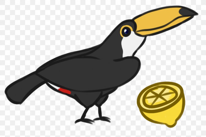 Hornbill Bird, PNG, 900x600px, Beak, Animal, Bird, Cartoon, Coraciiformes Download Free