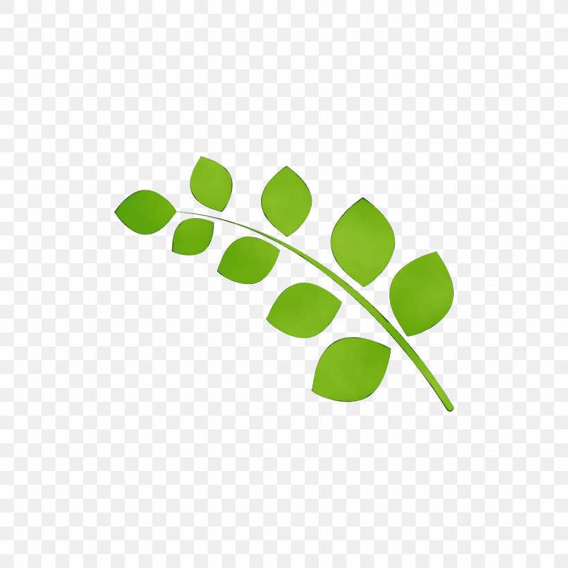 Logo Leaf Green Meter Line, PNG, 1440x1440px, Watercolor, Biology, Green, Leaf, Line Download Free