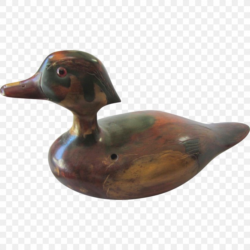Mallard Duck Beak, PNG, 1764x1764px, Mallard, Beak, Bird, Duck, Ducks Geese And Swans Download Free