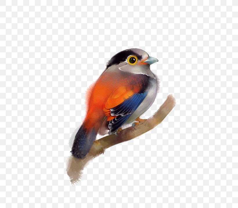 Bird Beak Feather Painting, PNG, 500x717px, Bird, Beak, Cuteness, Fauna, Feather Download Free
