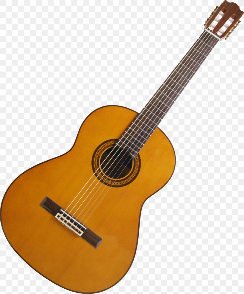 Acoustic Guitar Guitar Amplifier Dreadnought Cutaway, PNG, 2366x2846px, Watercolor, Cartoon, Flower, Frame, Heart Download Free