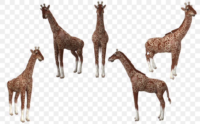 Spore Creatures Reticulated Giraffe Animal Deer, PNG, 1024x640px, Spore, Animal, Art, Deer, Deviantart Download Free