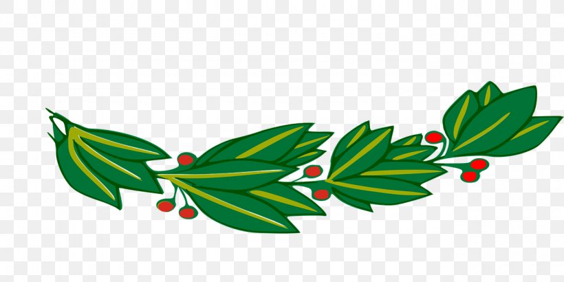 Branch Laurel Wreath Bay Laurel Clip Art, PNG, 1280x640px, Branch, Bay Laurel, Coat Of Arms Of Bolivia, Flowering Plant, Fruit Download Free