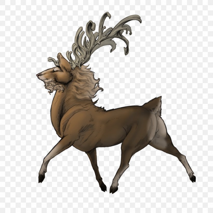 Reindeer Elk Antler Wildlife Terrestrial Animal, PNG, 894x894px, Reindeer, Animal, Antler, Deer, Elk Download Free