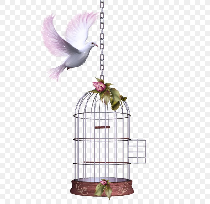 Cage Bird Clip Art, PNG, 512x800px, Cage, Bird, Bird Supply, Birdcage, Data Download Free