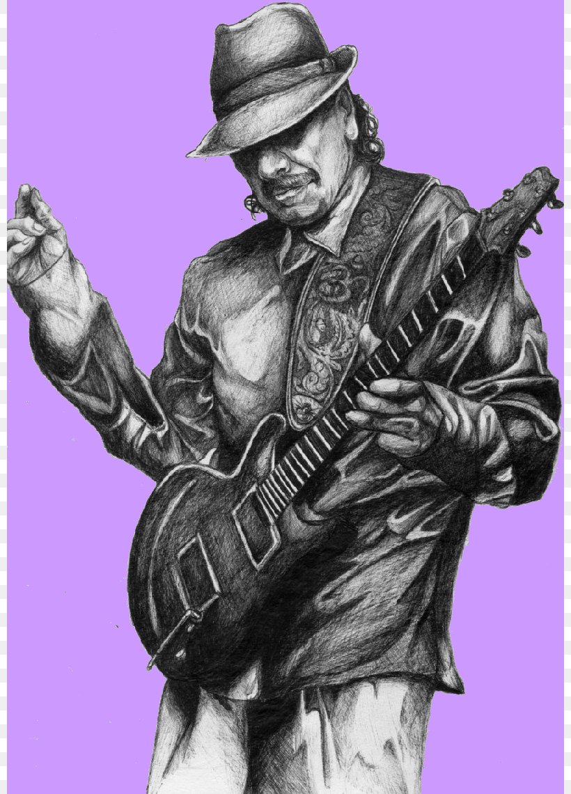 Carlos Santana Drawing Musician, PNG, 800x1140px, Watercolor, Cartoon, Flower, Frame, Heart Download Free