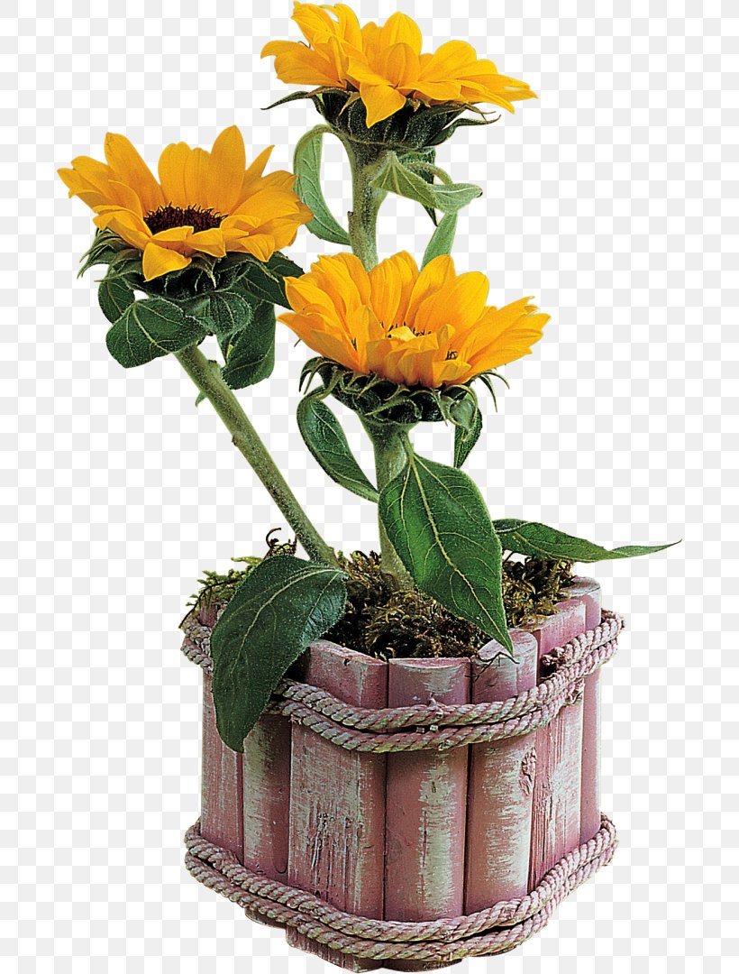 Floral Design Common Sunflower Clip Art, PNG, 696x1080px, Floral Design, Common Sunflower, Cut Flowers, Floristry, Flower Download Free