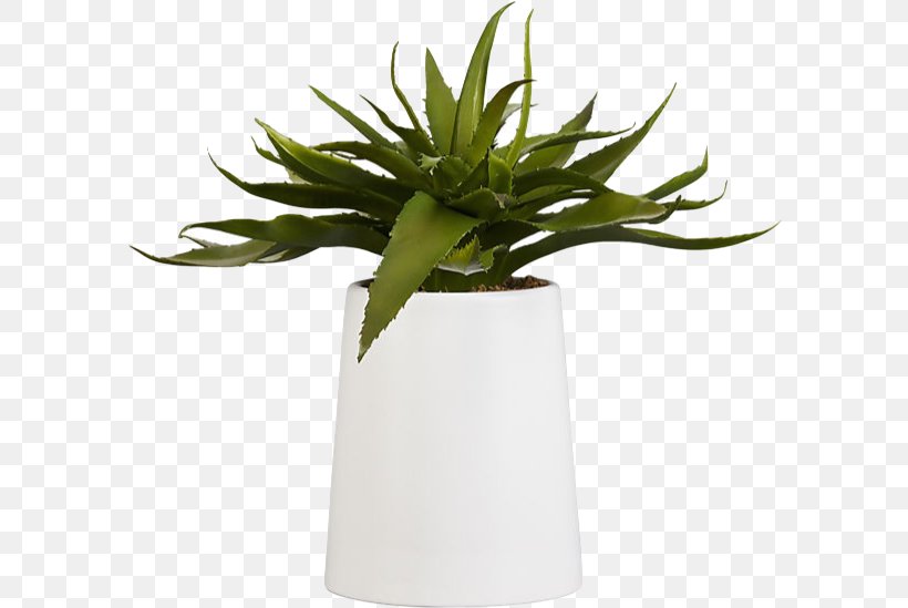 Aloe Vera Houseplant Succulent Plant Flowerpot Artificial Flower, PNG, 594x549px, Aloe Vera, Agave, Aloe, Artificial Flower, Cactaceae Download Free