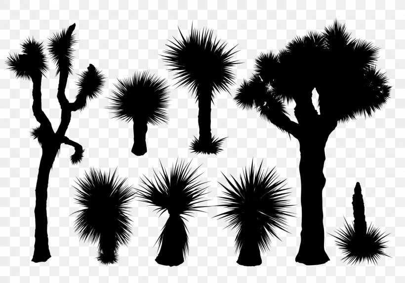 Silhouette Photography, PNG, 1400x980px, Silhouette, Art, Black And White, Branch, Cactaceae Download Free