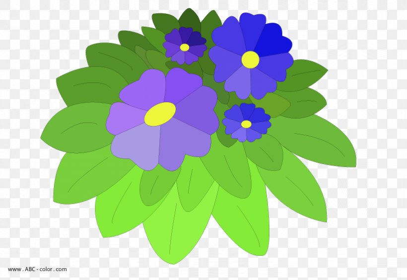 Violet Drawing Viola Reichenbachiana Information, PNG, 822x567px, Violet, Annual Plant, Cantidad, Drawing, Flora Download Free