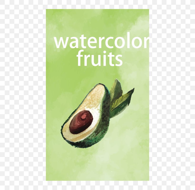 Avocado Fruit, PNG, 529x799px, Avocado, Auglis, Avocado Oil, Cartoon, Drawing Download Free